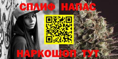 ГАЛЛЮЦИНОГЕННЫЕ ГРИБЫ Обь