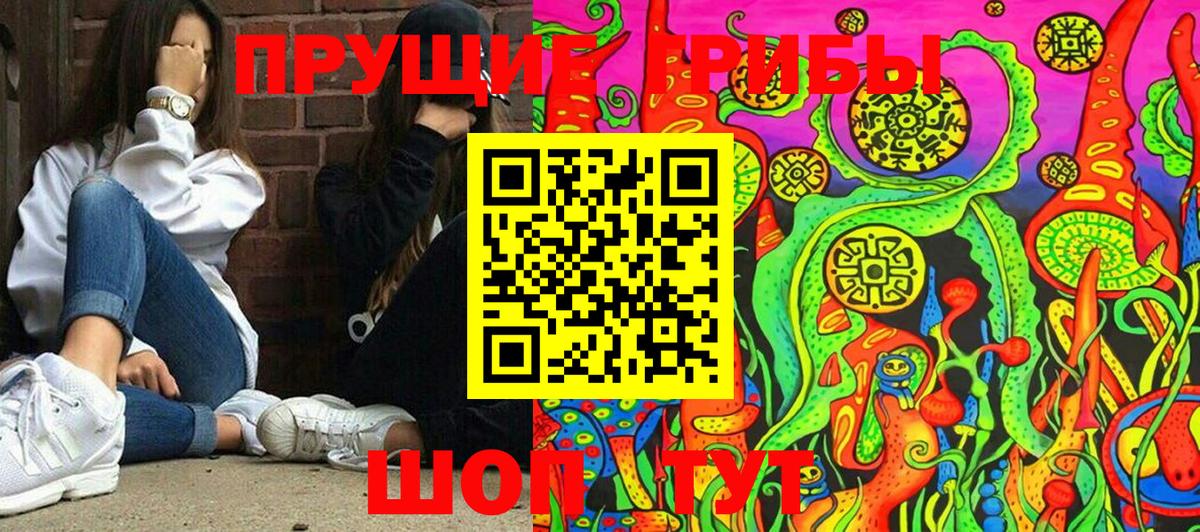 Галлюциногенные грибы Psilocybe Орск